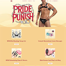 pridepunish